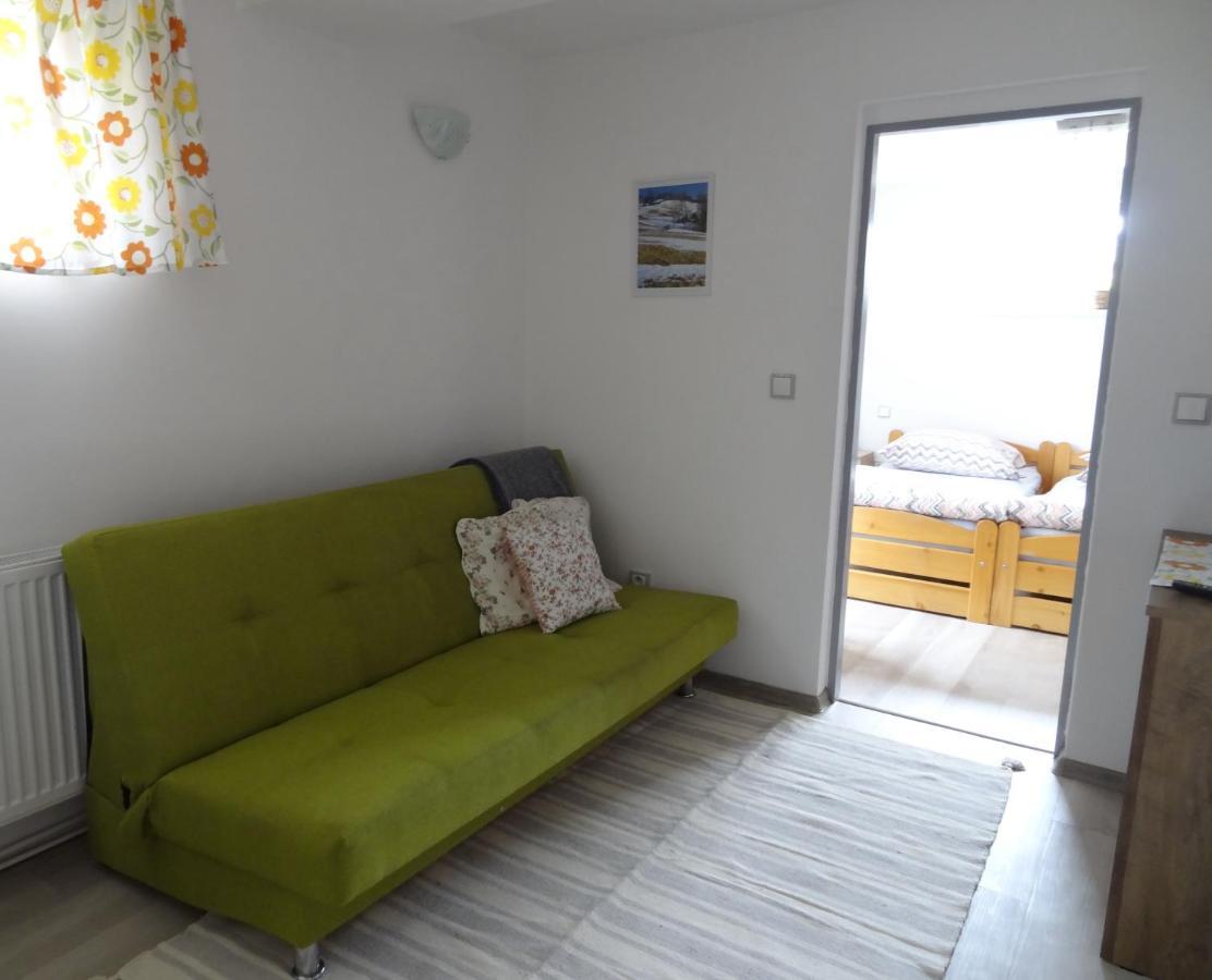 Apartman Karovi 데슈트네 프 오를리츠키흐 호라 외부 사진